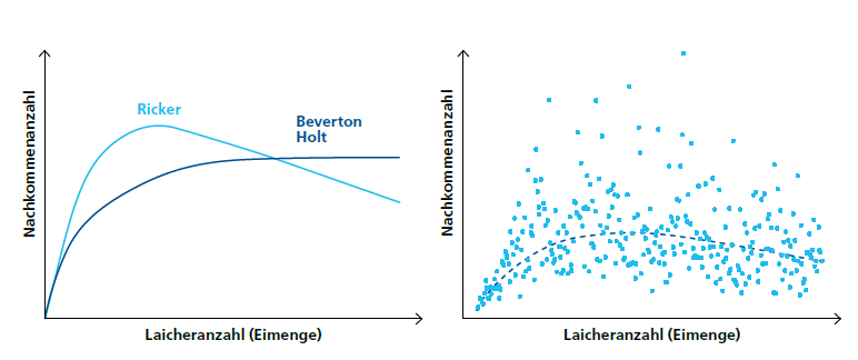 Ein Bach schlängelt sich durch einen Auwald.